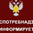 О работе «горячей линии» по вопросам качества безопасности детских товаров, а также выбору новогодних подарков - МО Новольвовское